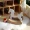 1pc-white-wooden-rocking-horse-mini-furniture-shooting-props-cute-white-home-playhouse-novelty-exquisite-small-creative-toy-ornaments-decorative-scenes-miniature-scene-accessories-for-simulated-home-s