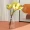 1pc-plastic-flower-vase-creative-small-flower-plant-vase-mothers-day-gift-buy-online